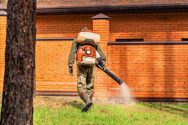 Trusted Rodent Control service in Puhi, HI - Nex Pest Control